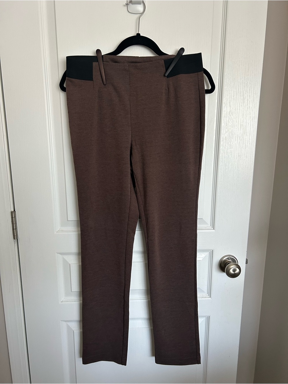 cleo Brown Straight-Leg Ponte Pants with Black Waistband